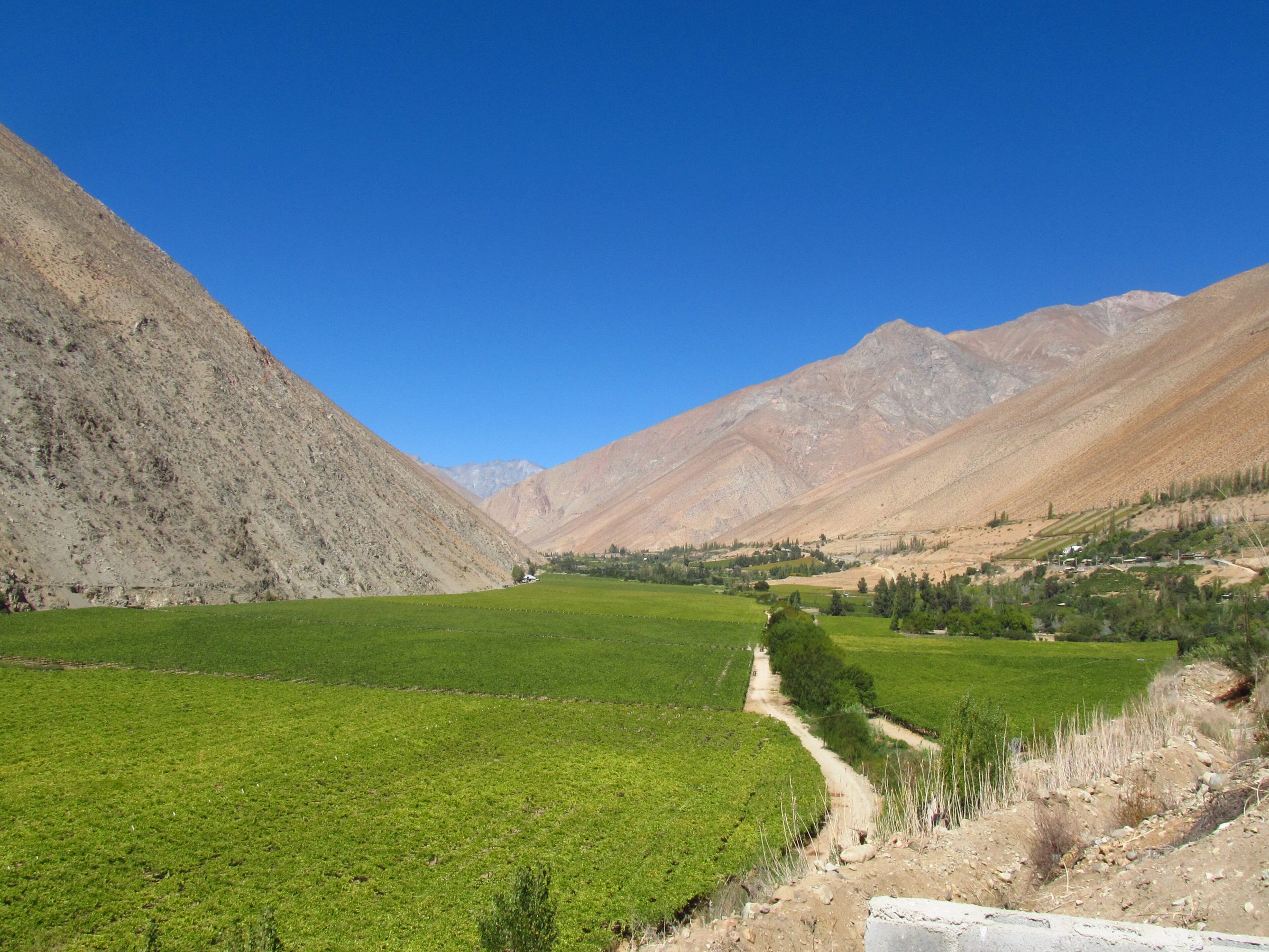 Valle del Elqui de día: viñedos verdes entre montañas desnudas